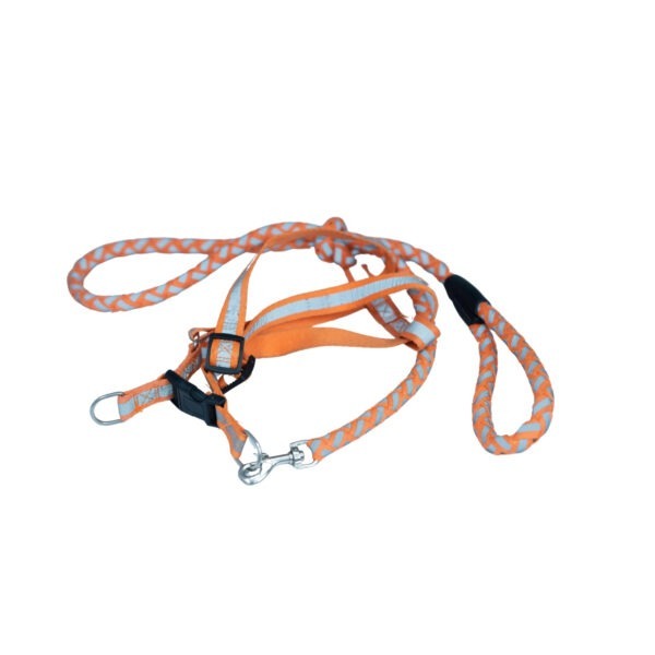 Reflective Leash 5FT Long, Reflective Rope for Medium & Large Dogs