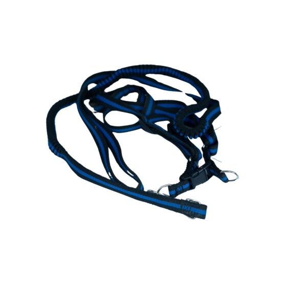 Bungee Dog Harness Leash Set